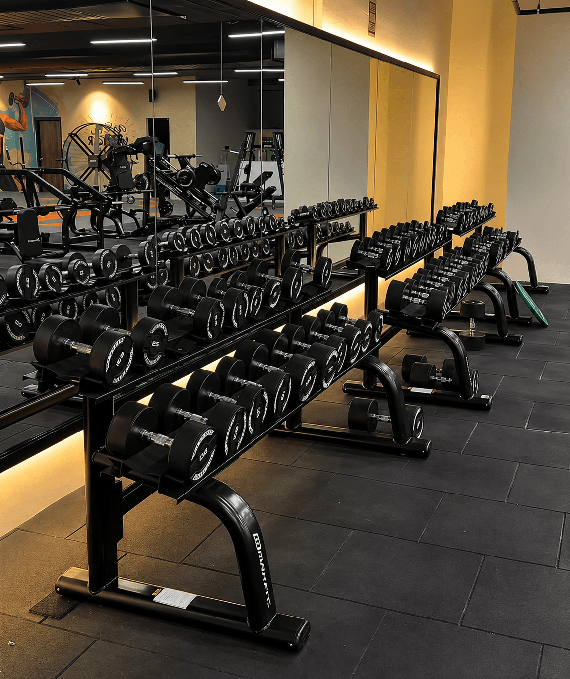 Legend Fitness Club gym showcase